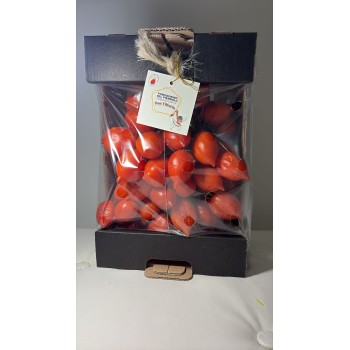 Pomodorino del piennolo del Vesuvio D.O.P.
